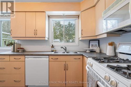 241 Homestead Crescent, London North (North I), ON - Indoor Photo Showing Kitchen With Double Sink
