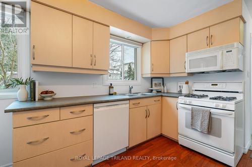 241 Homestead Crescent, London North (North I), ON - Indoor Photo Showing Kitchen With Double Sink