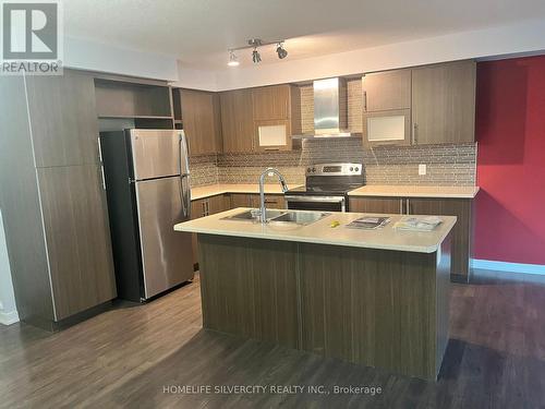 98 Crafter Crescent, Hamilton, ON - Indoor Photo Showing Kitchen With Stainless Steel Kitchen With Double Sink