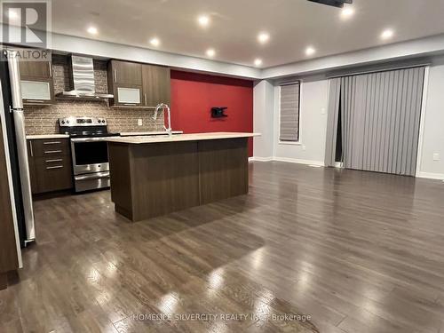 98 Crafter Crescent, Hamilton, ON - Indoor Photo Showing Kitchen With Upgraded Kitchen