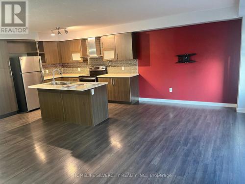 98 Crafter Crescent, Hamilton, ON - Indoor Photo Showing Kitchen With Stainless Steel Kitchen With Double Sink