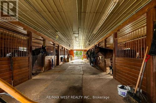 246044 County Rd 16 Road, Mono, ON 