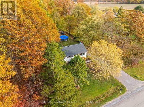 22009 Side Road 20, Wainfleet (Marshville/Winger), ON - Outdoor With View