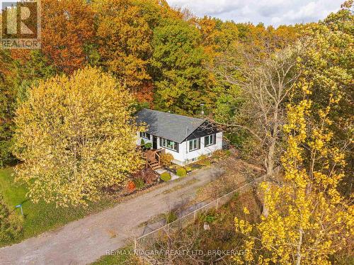 22009 Side Road 20, Wainfleet (Marshville/Winger), ON - Outdoor