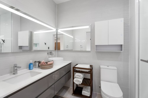 Salle de bains - B101-2301 Rue St-Patrick, Montréal (Le Sud-Ouest), QC - Indoor Photo Showing Bathroom