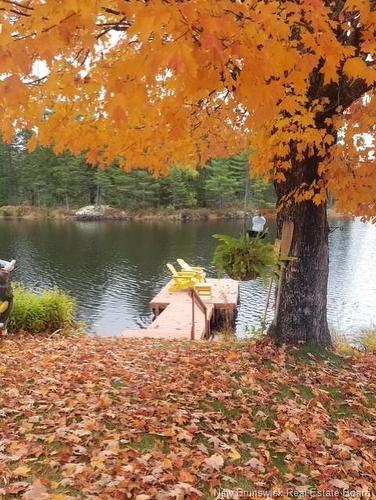 3481 Route 635, Harvey, NB 