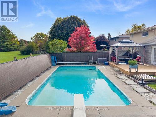 3 Nelson Avenue, Kitchener, ON - Outdoor With In Ground Pool With Backyard