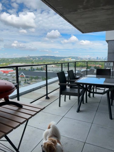 Balcon - 1108-6900 Boul. Newman, Montréal (Lasalle), QC - Outdoor With View With Exterior