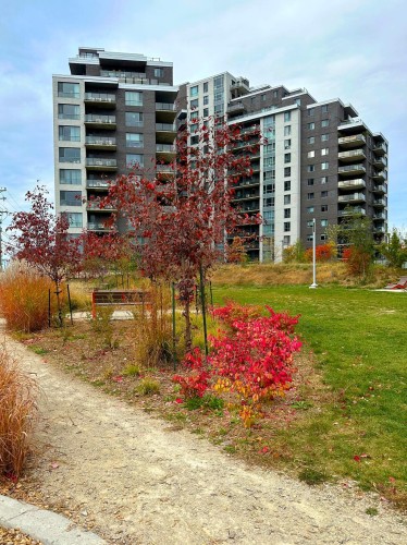 Cour - 1108-6900 Boul. Newman, Montréal (Lasalle), QC - Outdoor With Facade