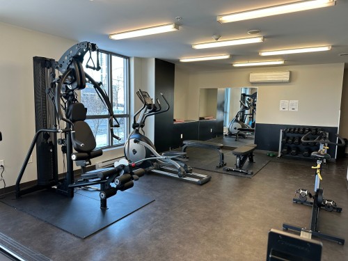 Salle d'exercice - 1108-6900 Boul. Newman, Montréal (Lasalle), QC - Indoor Photo Showing Gym Room