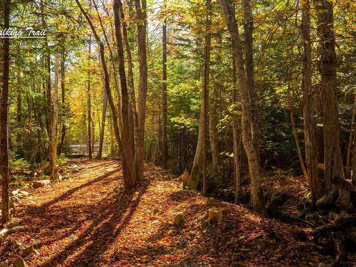 Lot 12 Croft Road, Chester Basin, NS 