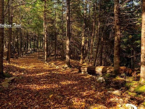 Lot 12 Croft Road, Chester Basin, NS 