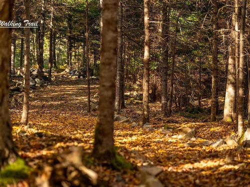 Lot 12 Croft Road, Chester Basin, NS 