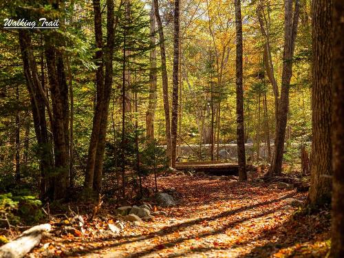 Lot 12 Croft Road, Chester Basin, NS 