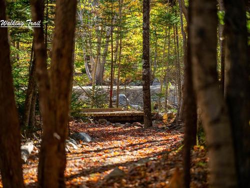 Lot 12 Croft Road, Chester Basin, NS 