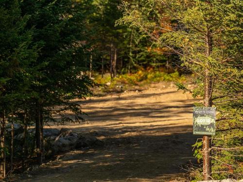 Lot 12 Croft Road, Chester Basin, NS 