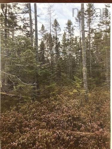 3 Cloverdale Road, Birch Hill, NS 