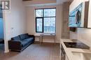 216 - 105 Champagne Avenue S, Ottawa, ON  - Indoor 