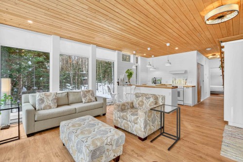 Salon - 11 Ch. Des Idéalistes, La Conception, QC - Indoor Photo Showing Living Room