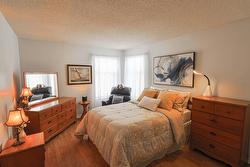 Chambre à coucher principale - 