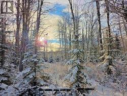 FRAC N1/2 DL 2557 BINTA ROAD  Burns Lake, BC V0J 1E0