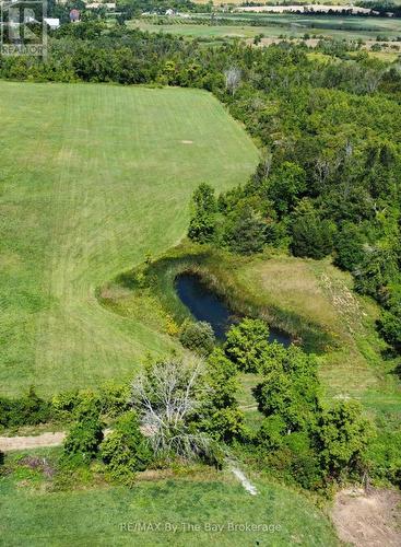 12 Sydenham Trail, Clearview, ON 