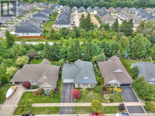 Aerial view of the house and trees behind property - 32 Sunrise Court, Fort Erie (Ridgeway), ON - Outdoor With View