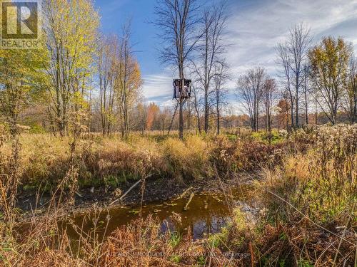 18668 Concession 2 Road, North Glengarry, ON - Outdoor With View