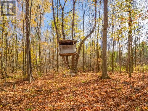 18668 Concession 2 Road, North Glengarry, ON - Outdoor