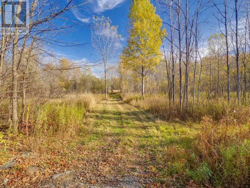 18668 Concession 2 Road, North Glengarry, ON - Outdoor With View