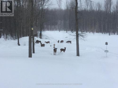 18668 Concession 2 Road, North Glengarry, ON - Outdoor With View