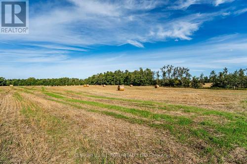 363 12 Line N, Oro-Medonte, ON 