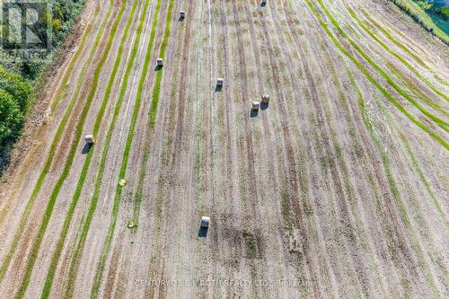 363 12 Line N, Oro-Medonte, ON 