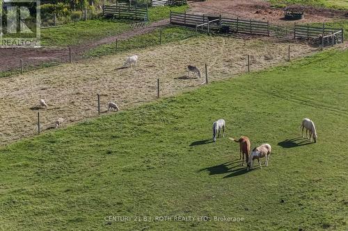 363 12 Line N, Oro-Medonte, ON 