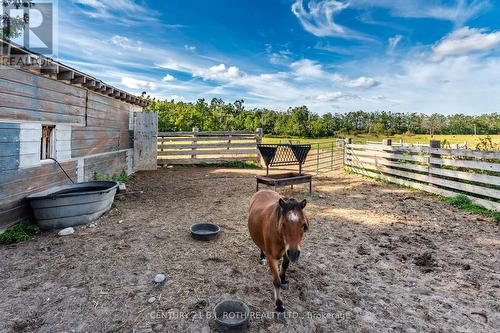 363 12 Line N, Oro-Medonte, ON 