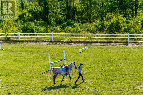 363 12 Line N, Oro-Medonte, ON 