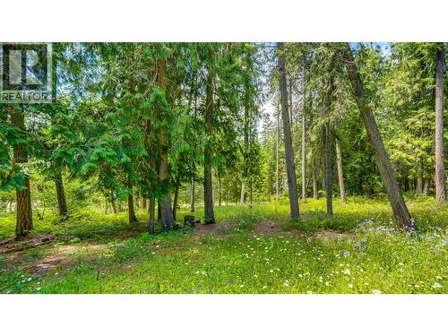 58 Walker Road, Enderby, BC - Outdoor