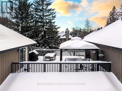 417 Mariners Way, Collingwood, ON - Outdoor