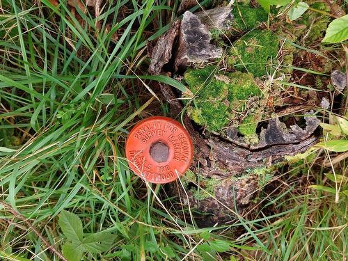 2664 Morrison Rd., Oban, NS 