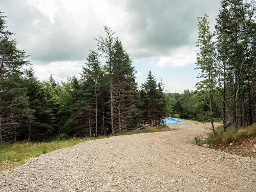 2664 Morrison Rd., Oban, NS 