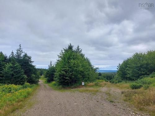 2664 Morrison Rd., Oban, NS 