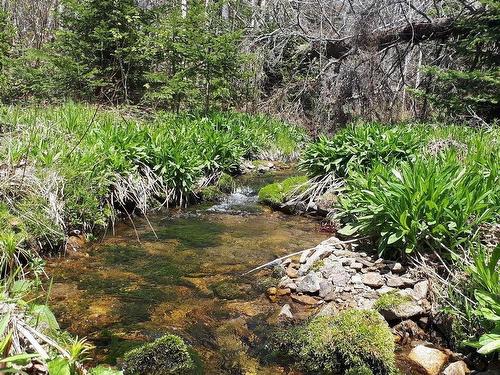 2664 Morrison Rd., Oban, NS 