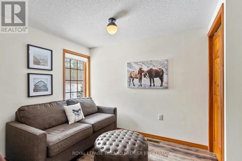 9936 Ontario Street, Lambton Shores (Port Franks), ON - Indoor Photo Showing Living Room