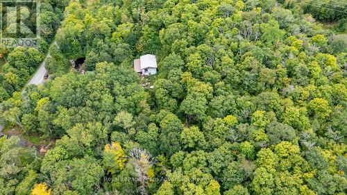 33 Pinewood Road, Mcdougall, ON 