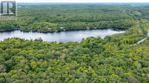 33 Pinewood Road, Mcdougall, ON 