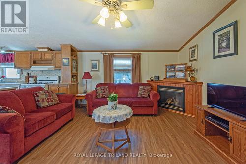 A - 5 Stewart Street, Strathroy-Caradoc (Se), ON - Indoor Photo Showing Living Room With Fireplace