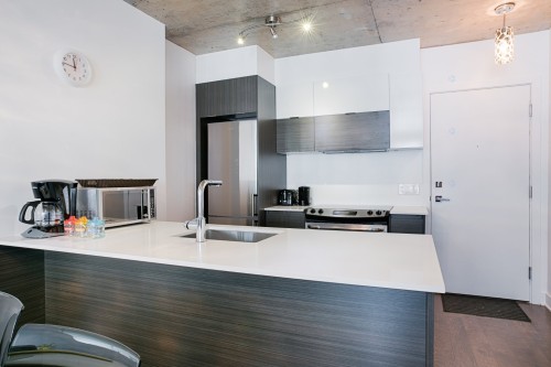 Cuisine - 508-235 Rue Peel, Montréal (Le Sud-Ouest), QC - Indoor Photo Showing Kitchen With Upgraded Kitchen