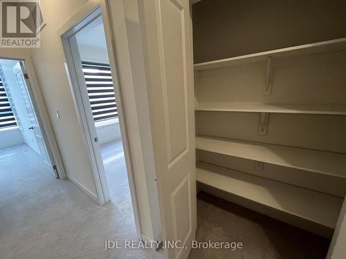 111 Hilts Drive, Richmond Hill, ON - Indoor With Storage