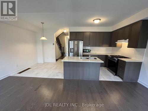 111 Hilts Drive, Richmond Hill, ON - Indoor Photo Showing Kitchen With Stainless Steel Kitchen With Double Sink With Upgraded Kitchen