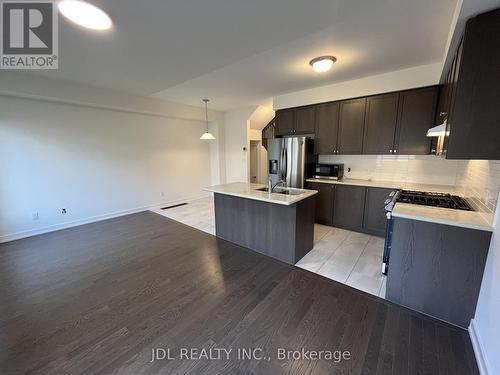 111 Hilts Drive, Richmond Hill, ON - Indoor Photo Showing Kitchen